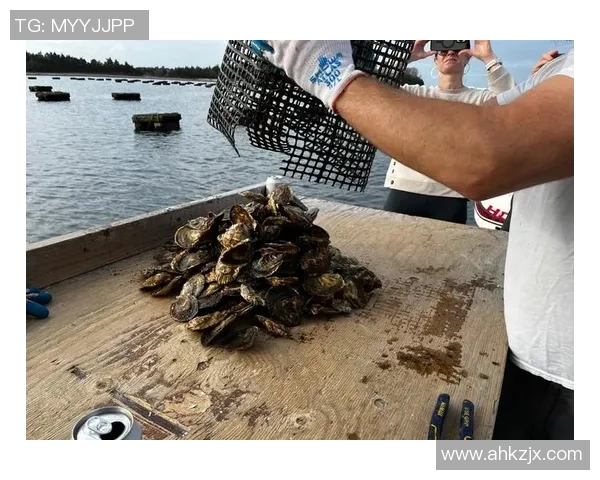 吉蠢呵蛎餍的奇妙旅程探寻美食背后的故事与文化